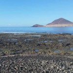 granadilla Muelle El Médano 2017