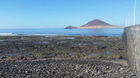 granadilla Muelle El Médano 2017
