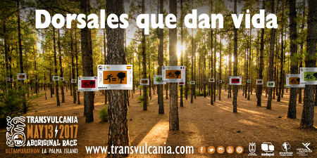 la palma Dorsales que dan vida 2017