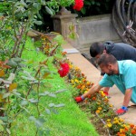 los realejos formacion jardineria 2017