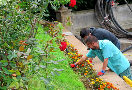 los realejos formacion jardineria 2017
