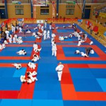 tenerife juegos del cabildo 2017