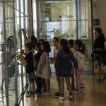 tenerife museos acampada 2017