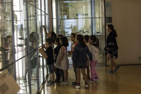 tenerife museos acampada 2017