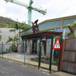 Mariposario de Icod de Los Vinos 2017