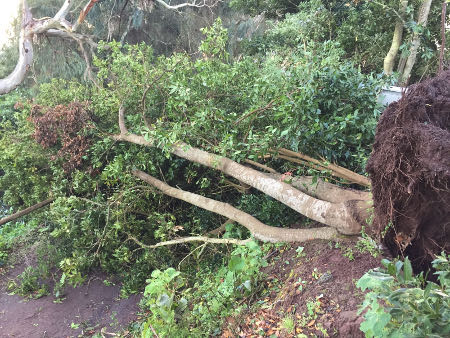 gcanaria desactiva plan emergencias 2017