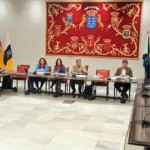 gobcan cristina valñido Comisión de Empleo 2017