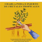 lanzarote CHARLA PODA E INJERTO DE FRUTALES TROPICALES 2017