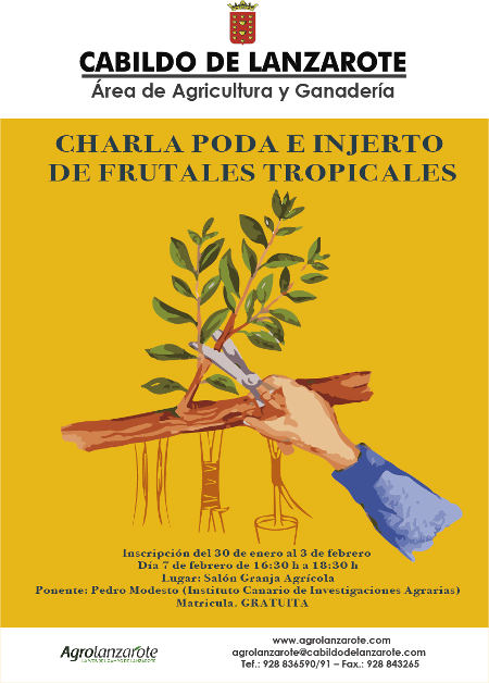 lanzarote CHARLA PODA E INJERTO DE FRUTALES TROPICALES 2017