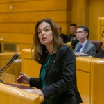 nueva canarias ma jose lopez Santana senadora 2017
