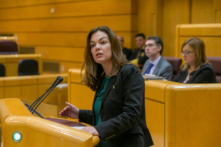 nueva canarias ma jose lopez Santana senadora 2017