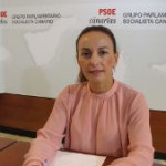 psoe olivia delgado 2017