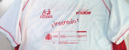 COCEMFE intentalo 2017
