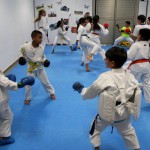 antigua karate 2017