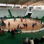 fuerteventura escuelas de lucha 2017