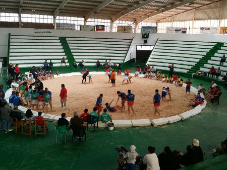 fuerteventura escuelas de lucha 2017
