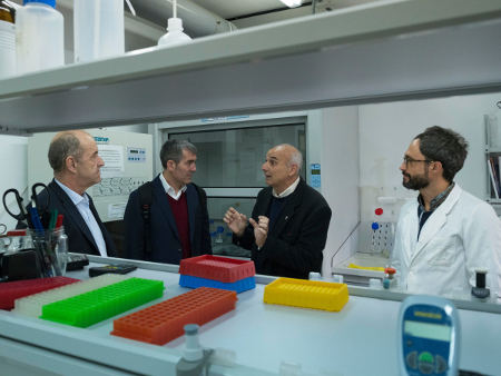 gobcan investigaciones varias 2017