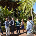 la orotava rutas turisticas 2017