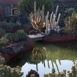 lanzarote jardin de cactus-1
