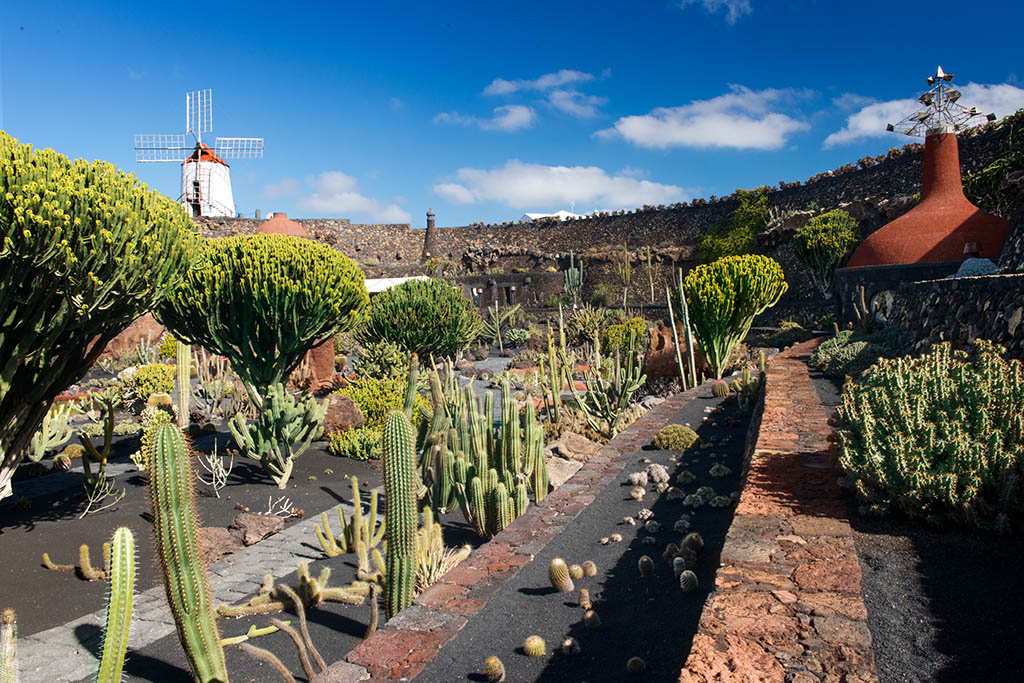 lanzarote jardin de cactus