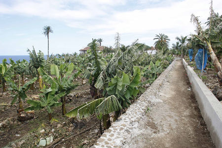 tenerife Garachico-Visita Finca La Quinta Roja 2017
