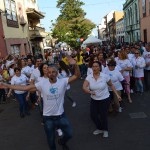 La Laguna Feria del Voluntariado 2017