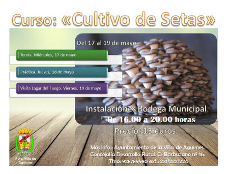 aguimes CURSO CULTIVO SETAS 2017