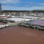 gcanaria Salinas de Tenefé 2017