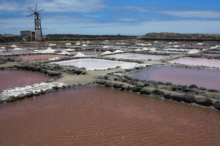 gcanaria Salinas de Tenefé 2017
