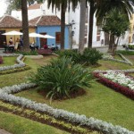 la orotava florece 2017