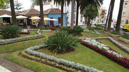 la orotava florece 2017