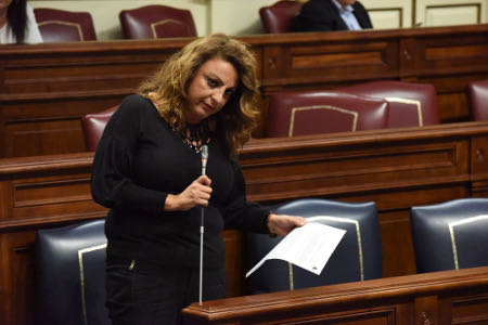 Cristina Valido parlamento 2017