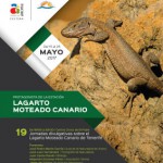 arona lagarto moteado 2017