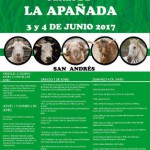 elhierro APAÑADA la apañada 2017