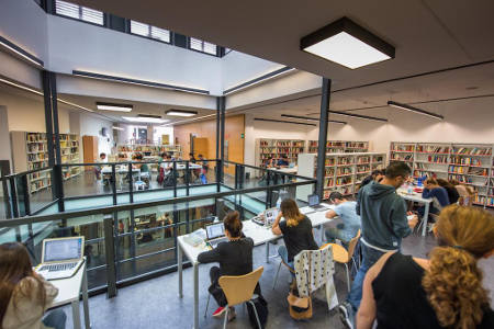 gcanaria Biblioteca Insular 2017