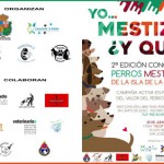 breña baja feria adopcion 2017