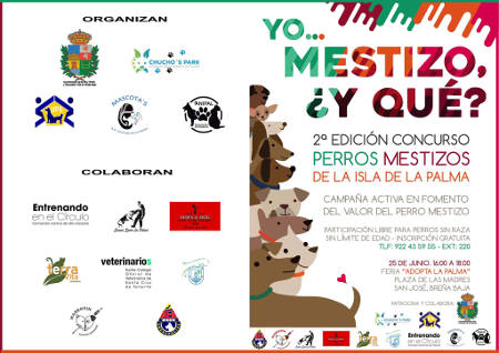 breña baja feria adopcion 2017