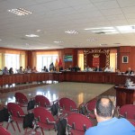lanzarote Pleno ordinario Cabildo Junio 2017