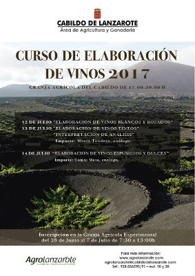 lanzarote curso de elaboracion de vino 2017