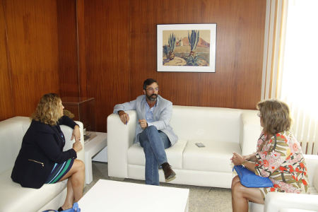 lanzarote parque publico de vivienda 2017