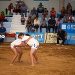 tenerife XXX Juegos Cabildo-Lucha canaria-Final 2017