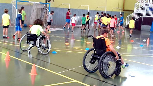 COCEMFE Incluye+D 2017