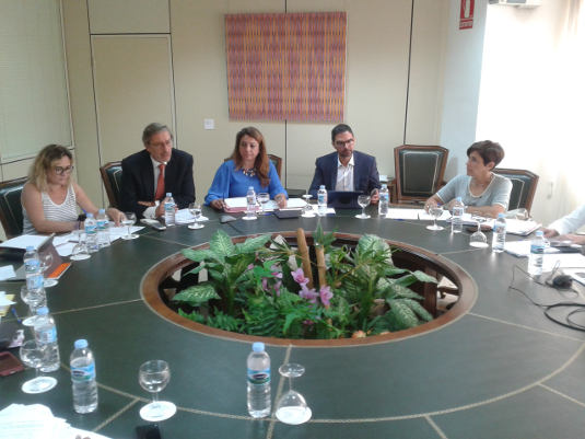 cristina valido empleo siniestrabilidad 2017