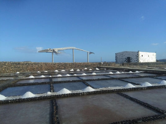 fuerteventura Rorcual Las Salinas 2017
