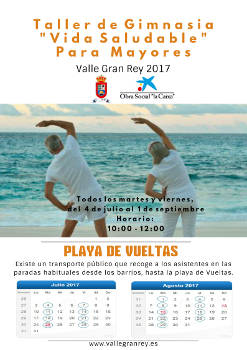 valle gran rey Vida Saludable 2017