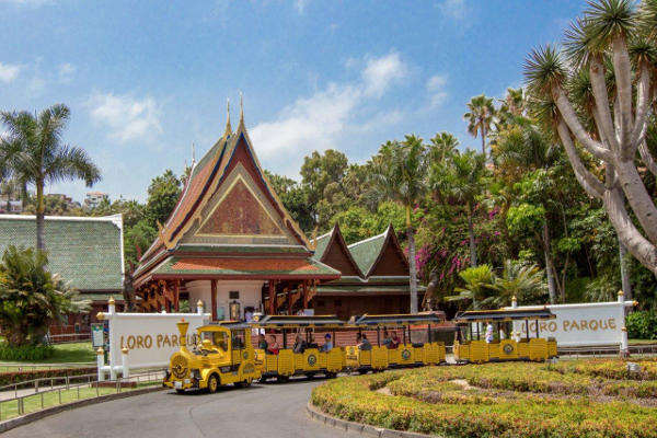 Loro-Parque-Mejor-Zoologico-del-Mundo-segun-TripAdvisor-2-2017