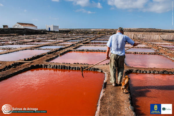 gcanaria AGÜIMES. Salinas de Arinaga 2017