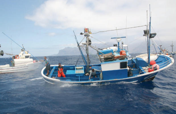 gcanaria barco pesca 2017
