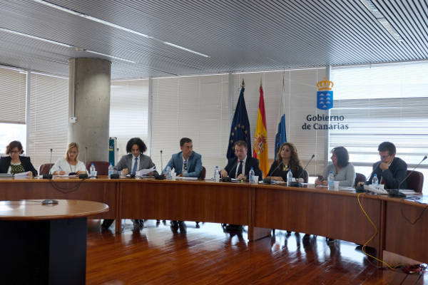 gobcan Consejo General Empleo 2017
