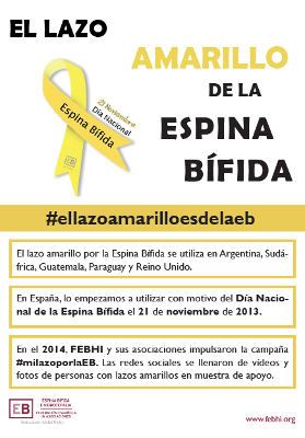 cocemfe espina bifida 2017